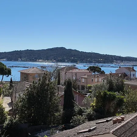 Apartment Les Jardins D'alizarine La Seyne-sur-Mer
